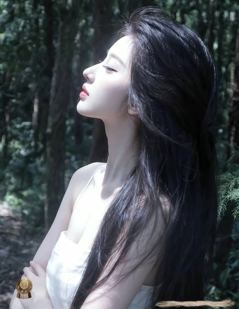胶片·终章